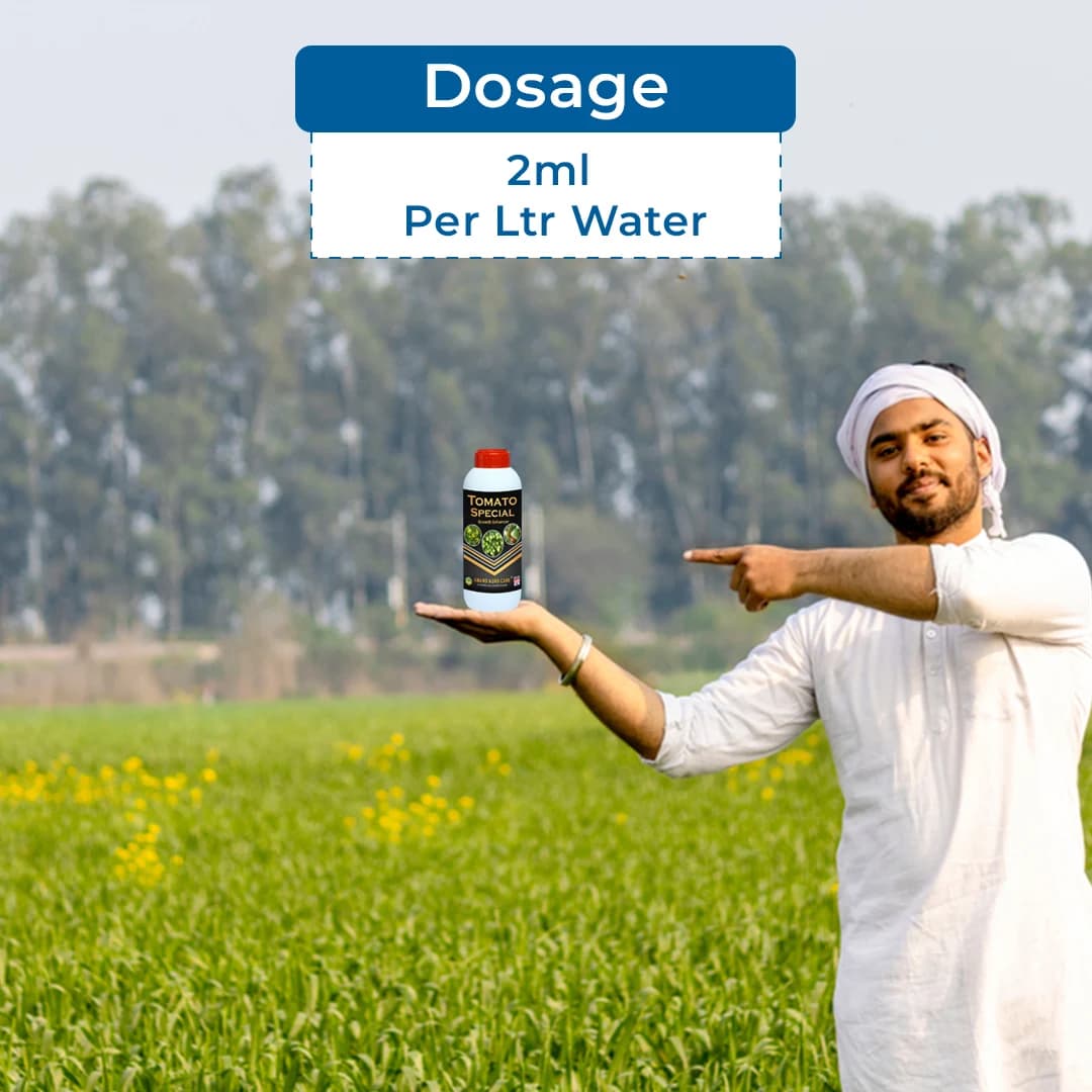 Anand Agro Tomato Special, It Helps In Uniform Size, Attractive Shape, Luster of Tomato - Image 5