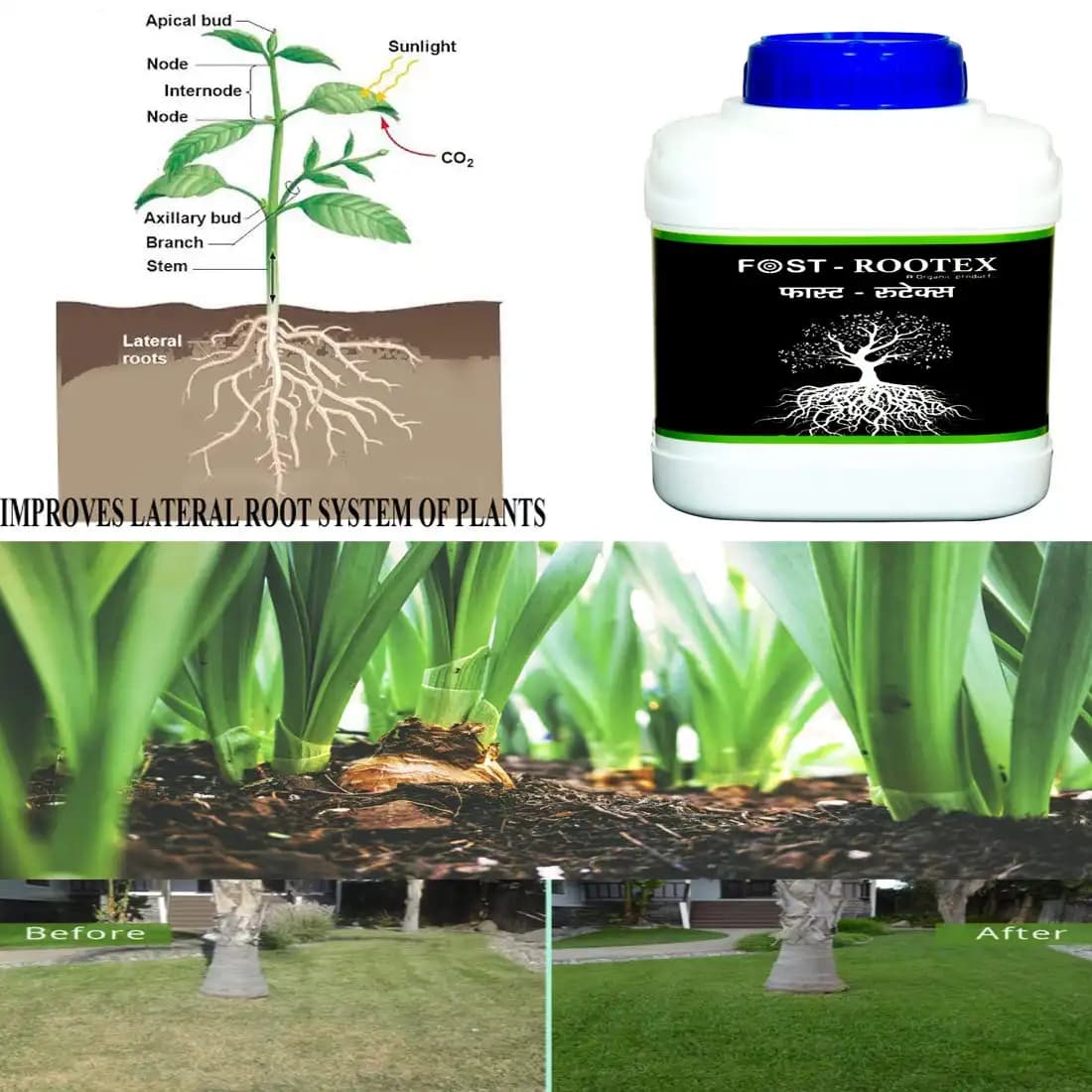 FOST ROOTEX - Soil Conditioner & pH Balancer, Increase the Plant Root Growth and Metabolism - Image 7