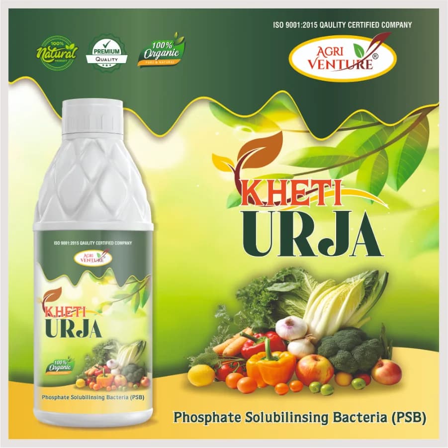 Agriventure Kheti Urja (Psb Phosphate Solubilizing Bacteria) Bactericide Organic Product Bio Fertilizers - Image 2