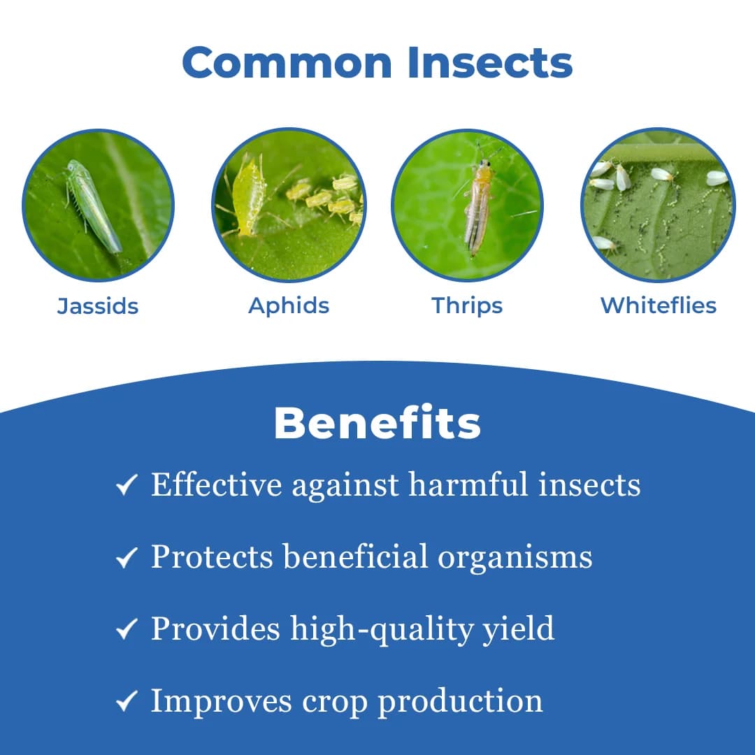 Texan PW - Thiamethoxam 70% WS Systemic Insecticide, To Control Aphids, Jassids, Thrips, and Whiteflies - Image 3