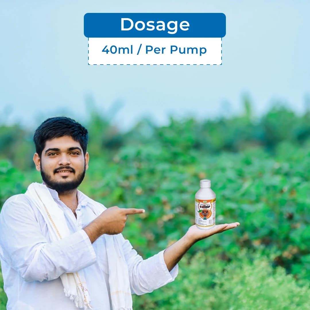 BACF CaTnip Insecticide - Chlorpyriphos 20% CS - Image 5