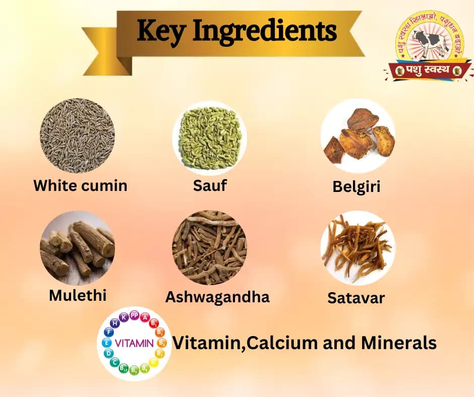 PASHU SVASTH KORI KHAND, Herbal Cooling Booster For Cattle And Buffaloes, Designed To Cool Cattle During Hot Weather, Increase Milk Production - Image 5