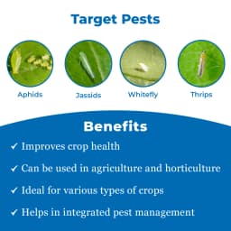 Thiolt-30 Insecticide - Thiamethoxam 30% FS 3