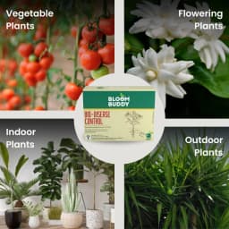 BloomBuddy Bio-Disease Control Pseudomonas Fluorescens 1.0% WP, Natural Plant Strengthener & Disease Fighter 5