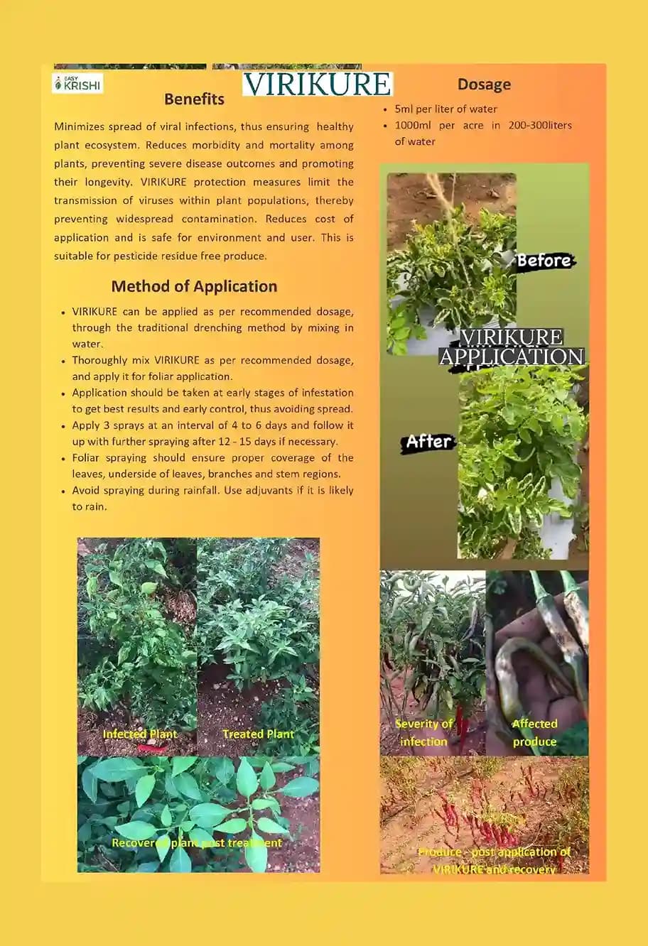 Easykrishi Virikure, Virucide For All Crops, Effective Anti-Viral Product To Protect Crops. from All types of Viral Diseases VIRICIDE - Image 3