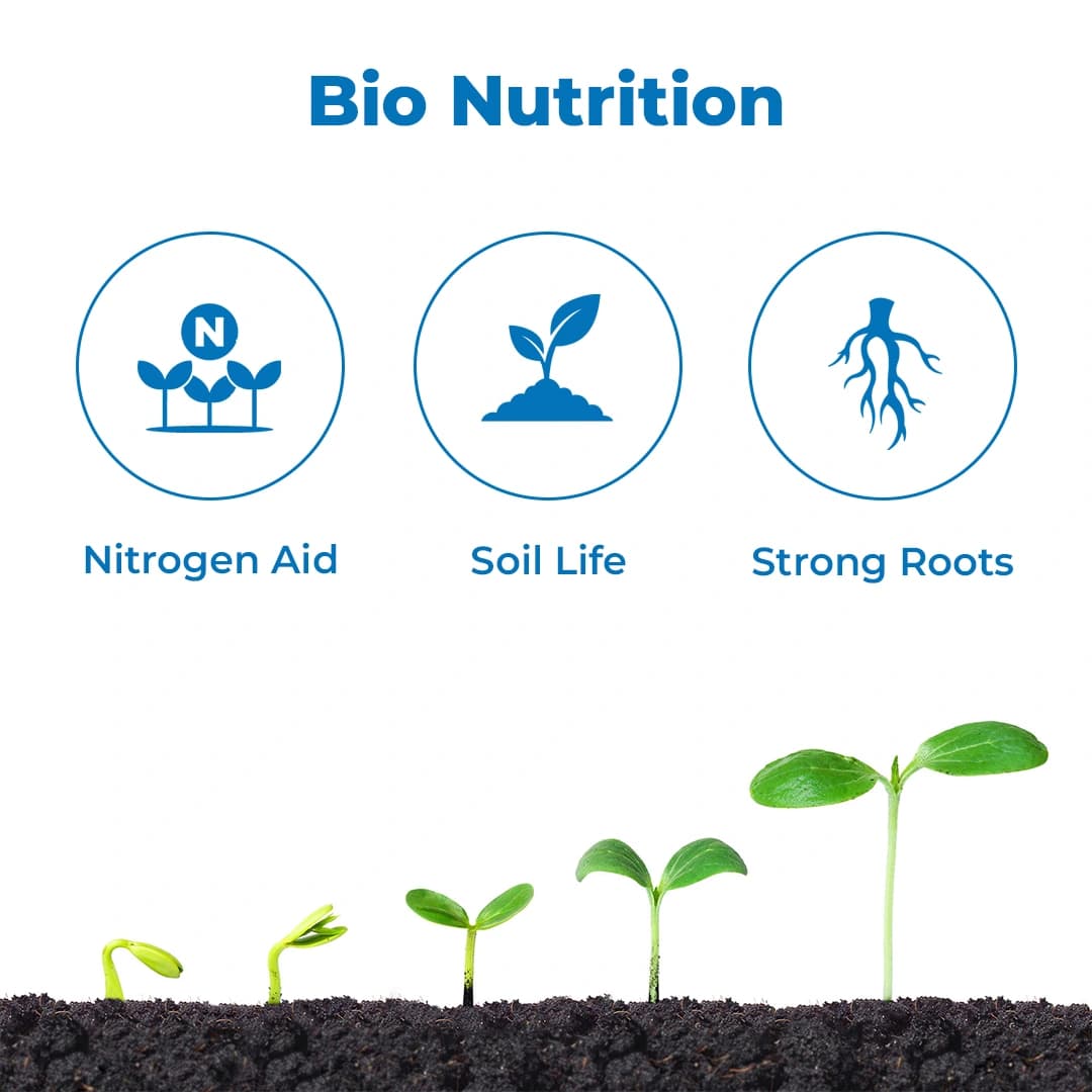EBS Azotobacter Spp. Bio Fertilizer, Use for Plants, Crops, Nursery & Home Garden - Image 3