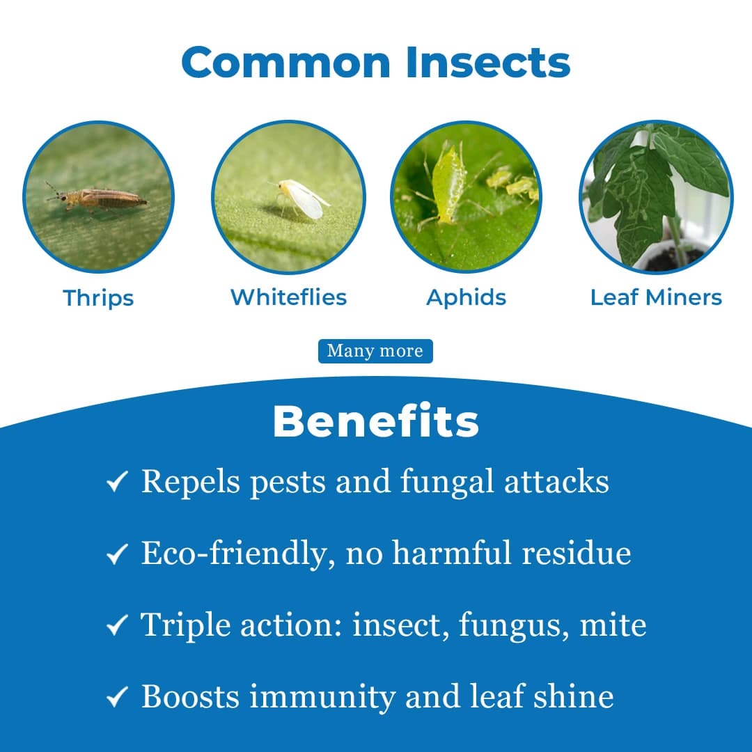 Neem Booster - Neem Oil 1500 PPM (Azadirachtin 0.15% EC) - Image 3