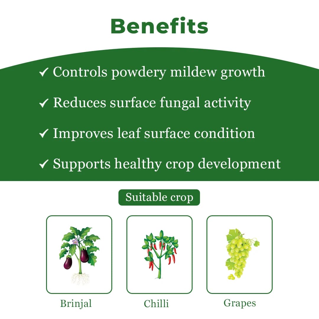 Exylon Sigma Fungicide - Sulphur 80% WDG - Image 5