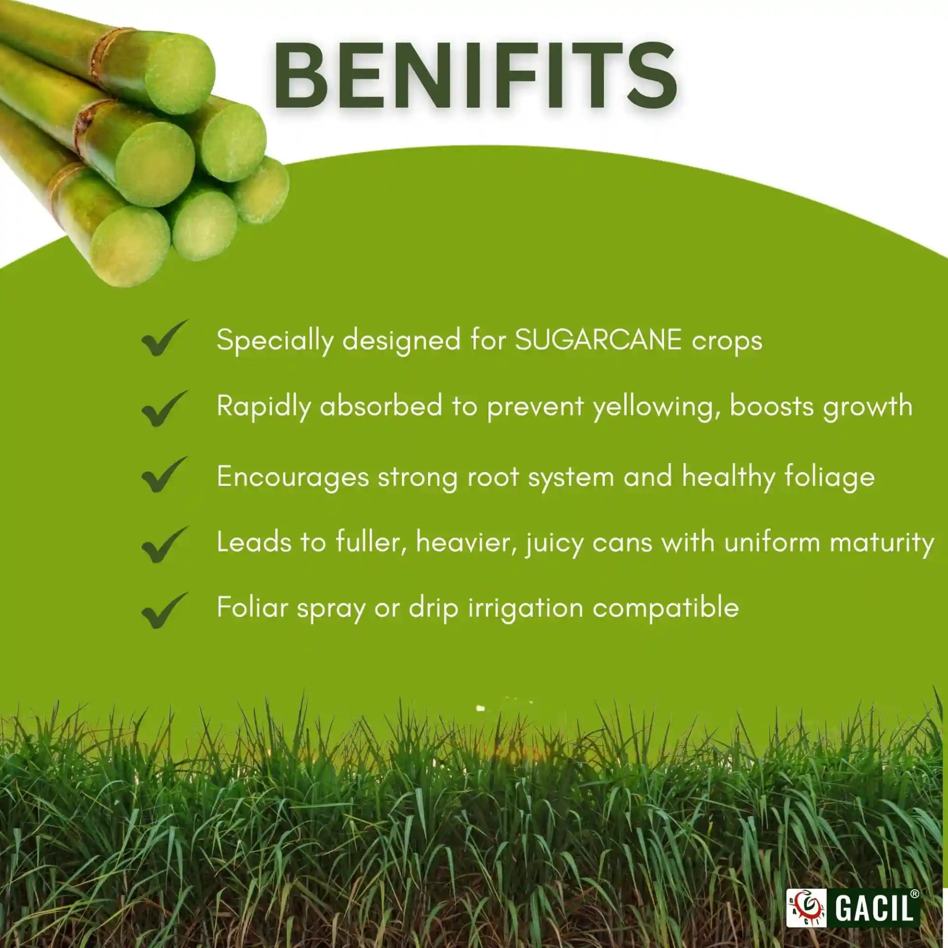 Gacil Sugarcane Special - Sugarcane Fertilizer - Image 7