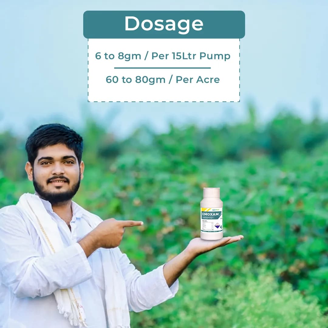 Emoxam - Emamectin Benzoate 3% + Thiamethoxam 12% WG, Powder Insecticide for Plants. - Image 5