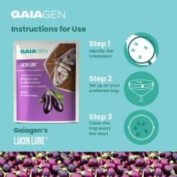 Gaiagen Brinjal Fruit And Shoot Borer Pheromone Lure For Leucinodes Orbonalis, IMO Certified. 6