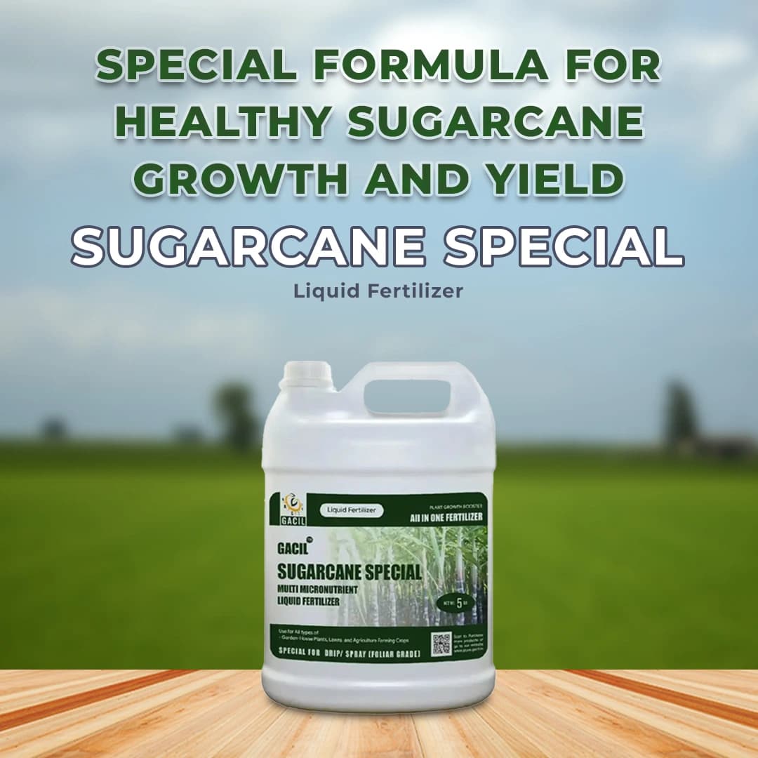 Gacil Sugarcane Special - Sugarcane Fertilizer - Image 2