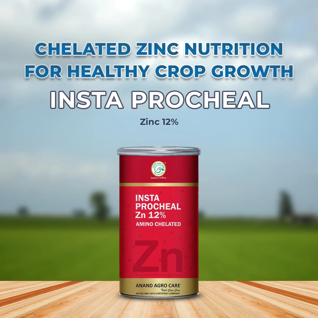 Anand Agro Insta Procheal Zinc 12% , Amino Chelated Zinc Powder, Micro Nutrient for Agricultural Foliar Application - Image 2