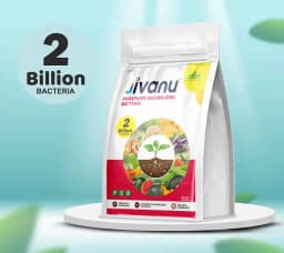 Jivanu (Potassium Solubilizing and Mobilizing Bacteria KSB, KMB) Bio Fertilizers 4