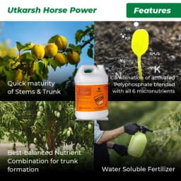 Utkarsh Horse Power (Ammonium Polyphosphate Fertilizer NPK 10:34:00), For Quick Maturity of Stem and Trunk of Plants and Trees 3