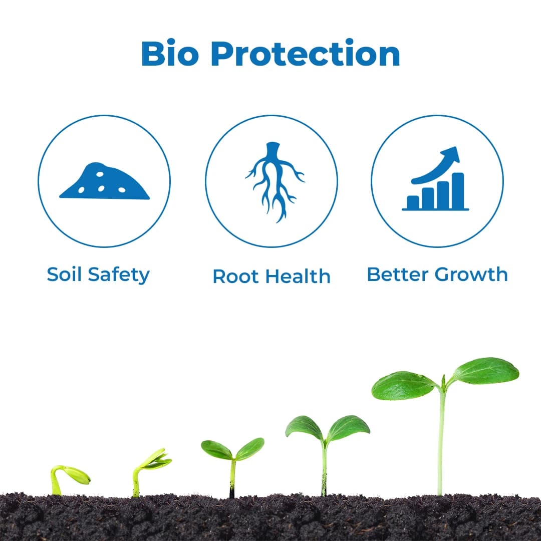 EBS Trichoderma Viride 5x10^8 Bio Fungicide, Control Soil And Seed Borne Diseases On Fruits & Vegetables Crop. - Image 3