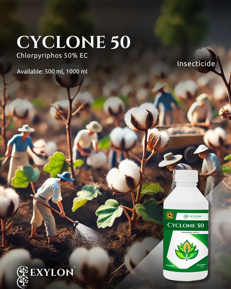 Exylon Cyclone 50 Chlorpyriphos 50% EC Insecticide, Broad-Spectrum, Effective Sucking And Chewing Pests For Crops