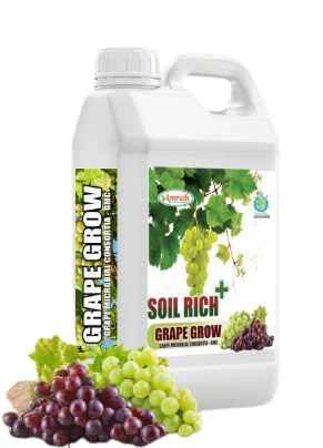 Amruth GRAPE GROW Grape Microbial Consortia GMC Grape Special, Increases Yield and Quality of Berry Size