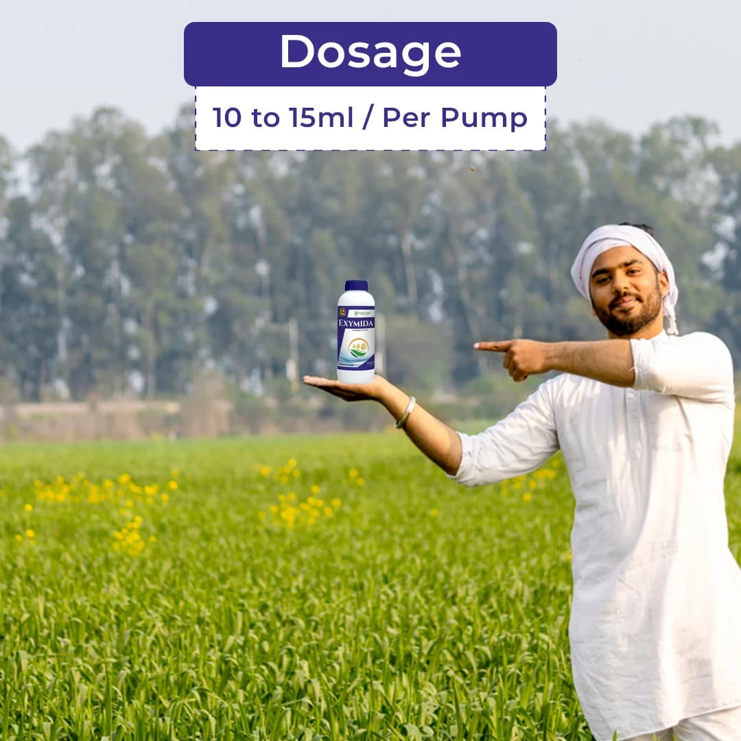 Exylon Exymida Insecticide - Image 5