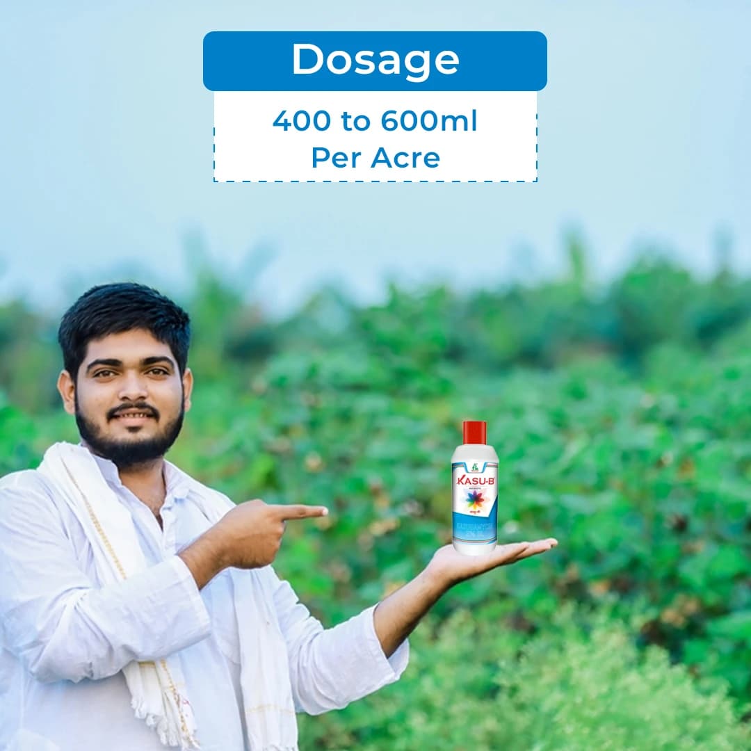 Kasu-B Fungicide - Kasugamycin 3% SL - Image 5