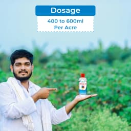 Kasu-B Fungicide - Kasugamycin 3% SL 5