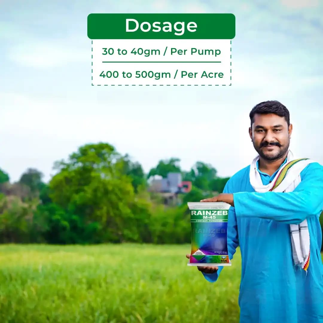 RAINZEB - M45 Mancozeb 75% WP Fungicide, Control Brown And Black Rust, Leaf Blight, Leaf Blight, Downy Mildew, Blast, Leaf Spot, Early Blight, Tip Rot - Image 5