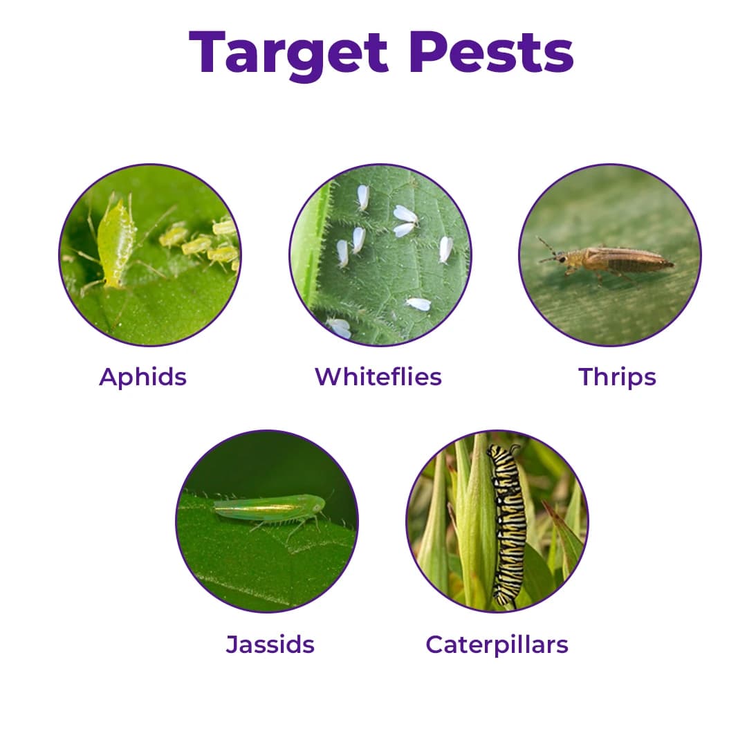 T.Stanes Wektocon Azadiractin 0.3% Content Of 3000 PPM , Neem Based Product - Image 3
