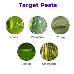 T.Stanes Wektocon Azadiractin 0.3% Content Of 3000 PPM , Neem Based Product 3