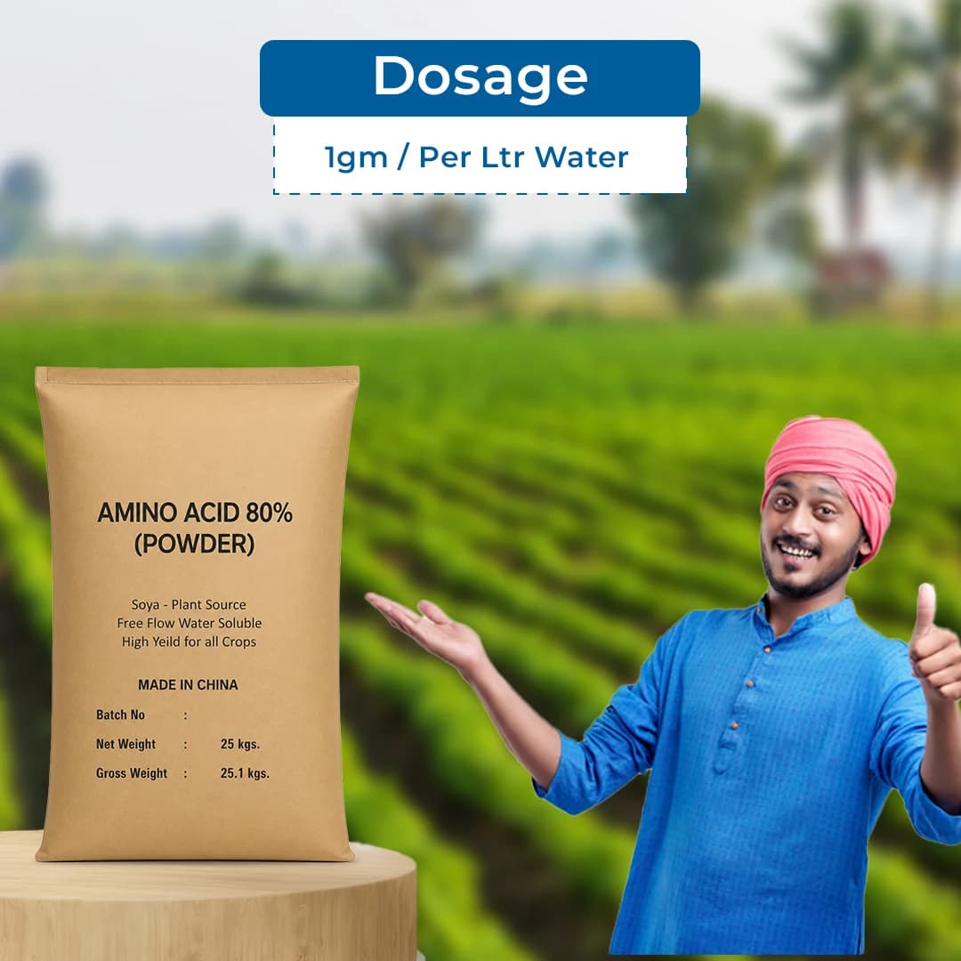 EBS Amino Acids 80% Powder Plant Growth Enhancer, Improved Yield, Growth Booster For Fruit and Vegetables - Image 6