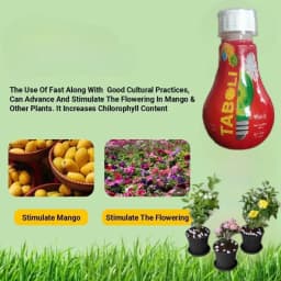 Sumitomo Taboli Plant Growth Promoter, Controls Tree Vigour, Reduces Pruning costs. 7