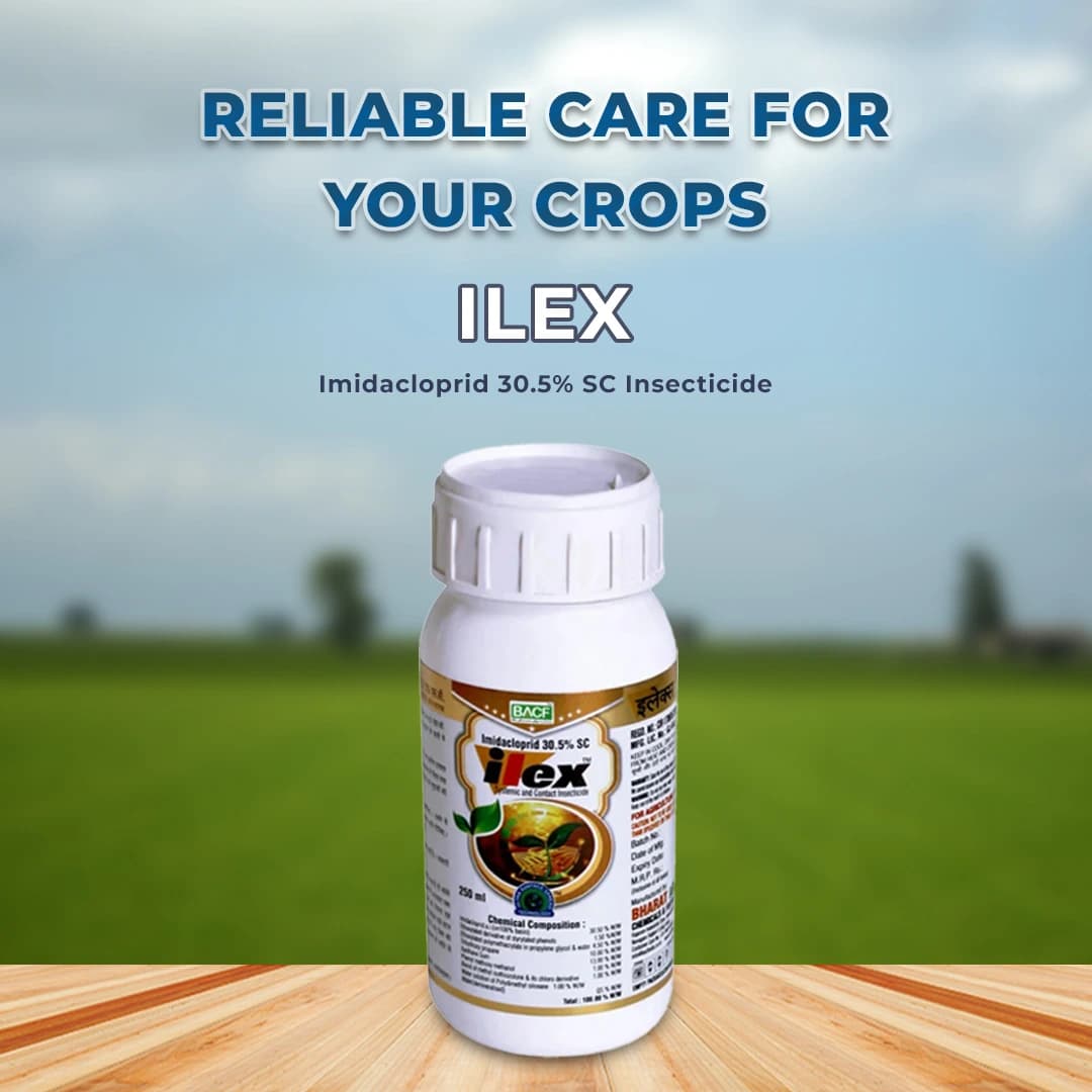 BACF Ilex Insecticide - Image 2