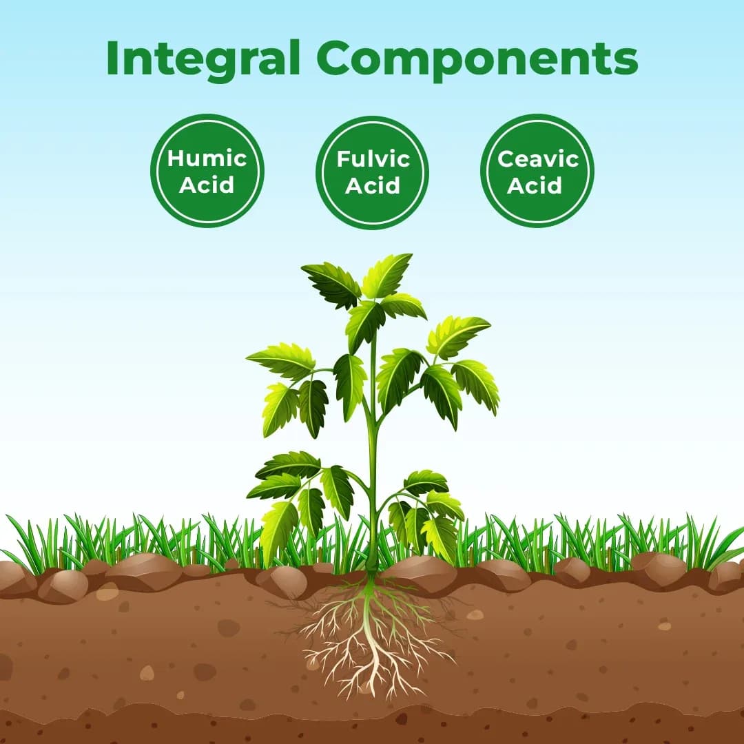 Bacf Humus Organic Fertilizer - Image 3