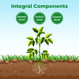 Bacf Humus Organic Fertilizer - Buy Online 3