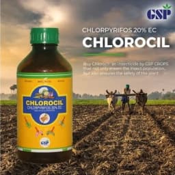 GSP Chlorocil Chlorpyrifos 20% EC Insecticide, Effective Pest Control, Suitable For A Variety Of Crops 4