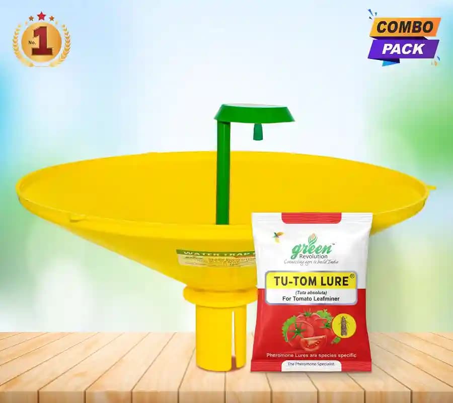 Water Pheromone Trap With TU-TOM Pheromone Lure (Tuta Absoluta ,Tomato Leafminer) for Tomato, Cherry Tomato, and Potato. - Image 3