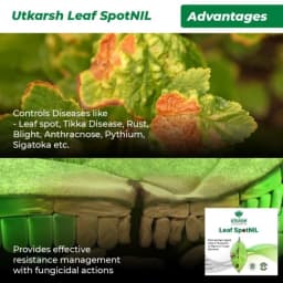 Utkarsh LeafspotNIL Plant Extract Based Natural Fungicide For Leaf Spot, Rust And Blight 4