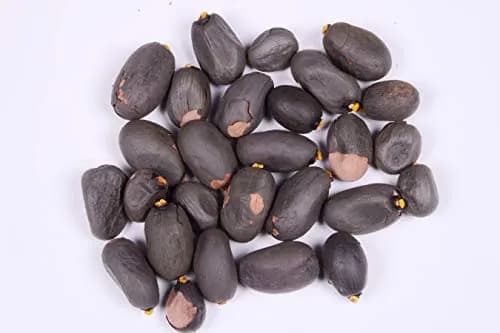 RK Seeds - Sterculia Foetida Seeds Ornamental Flower Seeds - Java Olive, Peon, Poon Tree, Sterculia Nut, Bastard Poon Tree,Sterculia foetida planting - Image 2