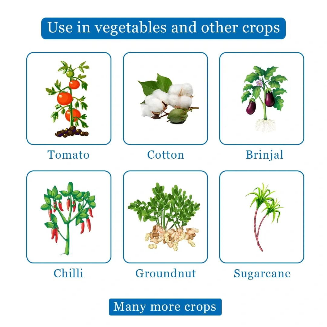 EBS F+Imida Insecticide - Image 4