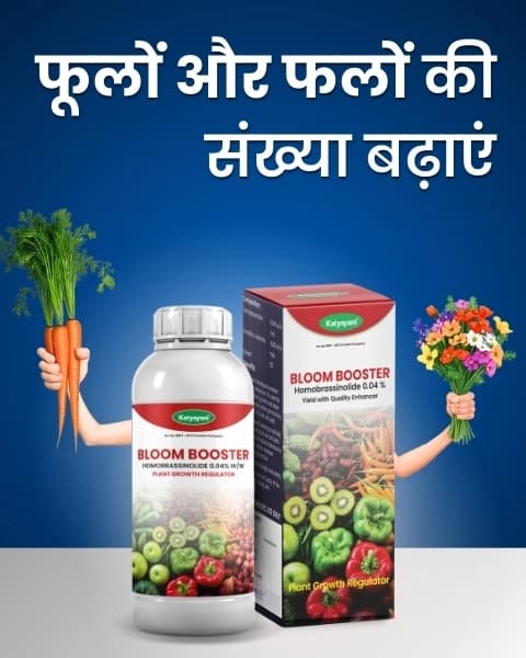 Katyayani Bloom Booster Homobrassinolide 0.04% Plant Growth Regulator, Use for Cotton, Brinjal, Chili, Banana, Cabbage, Cauliflower, Vegetables, Fruit - Image 3