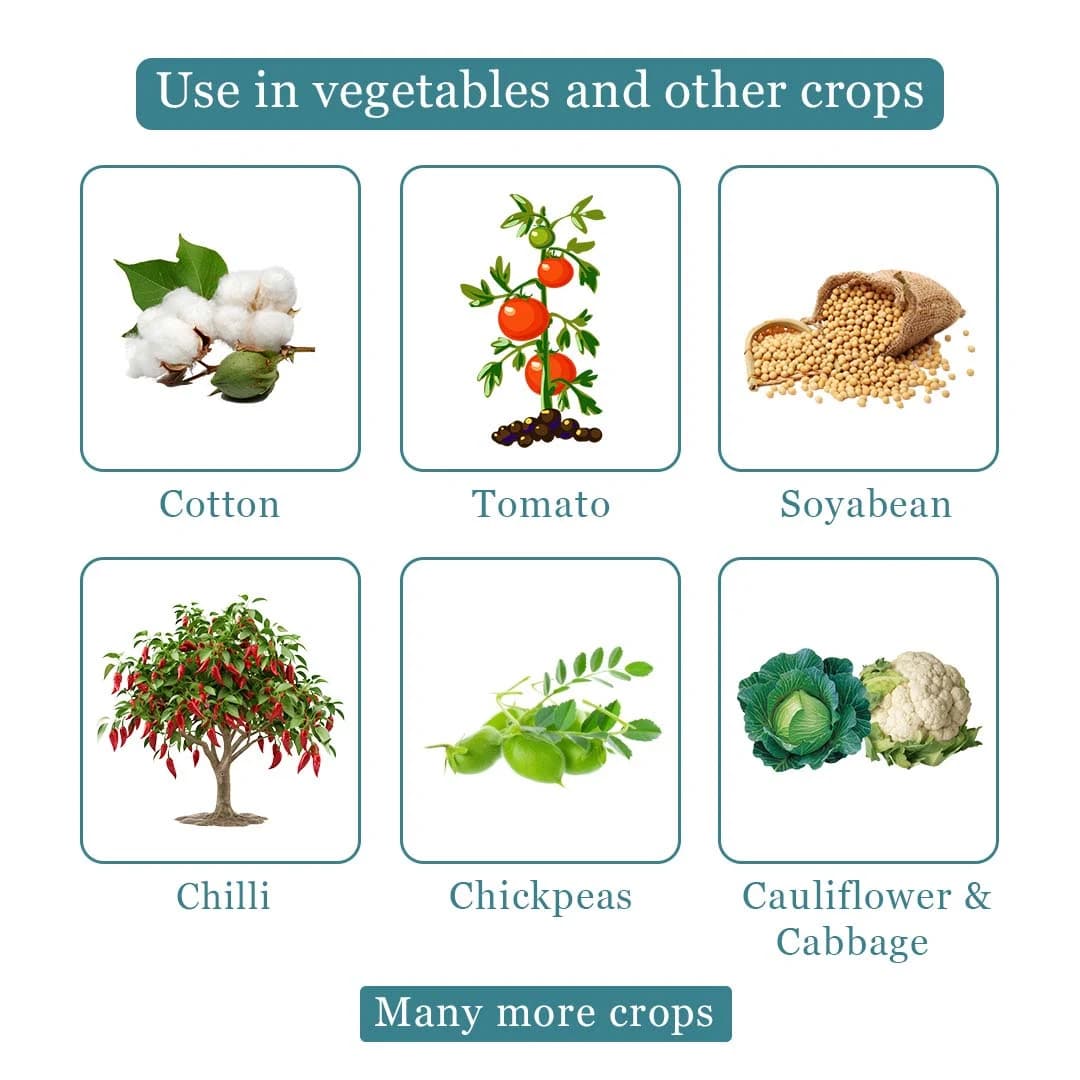 Emazek Insecticide - Emamectin Benzoate 1.9% EC - Image 4