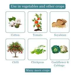 Emazek - Emamectin Benzoate 1.9% EC, Widely Used To Control Lepidoptera Pests 4