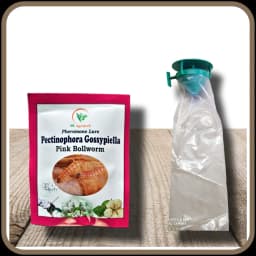 SK Agrotech Pectinophora Gossypiella Pheromone Trap With Lure - Effective Solution For Cotton 4