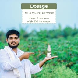 Arostel Fungicide - Azoxystrobin 11% + Tebuconazole 18.3% SC 5