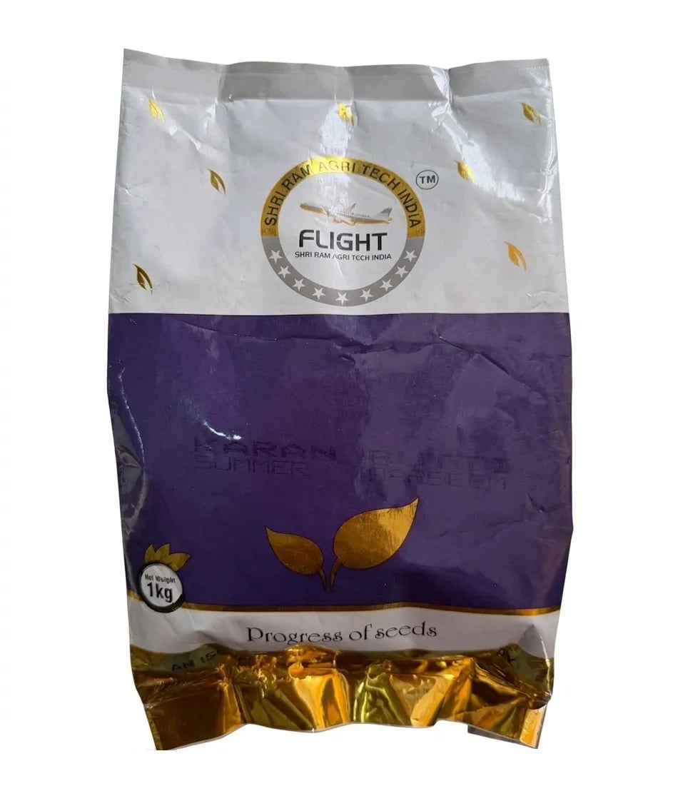 Shri Ram Karan Butti Summer Barseem Seeds
