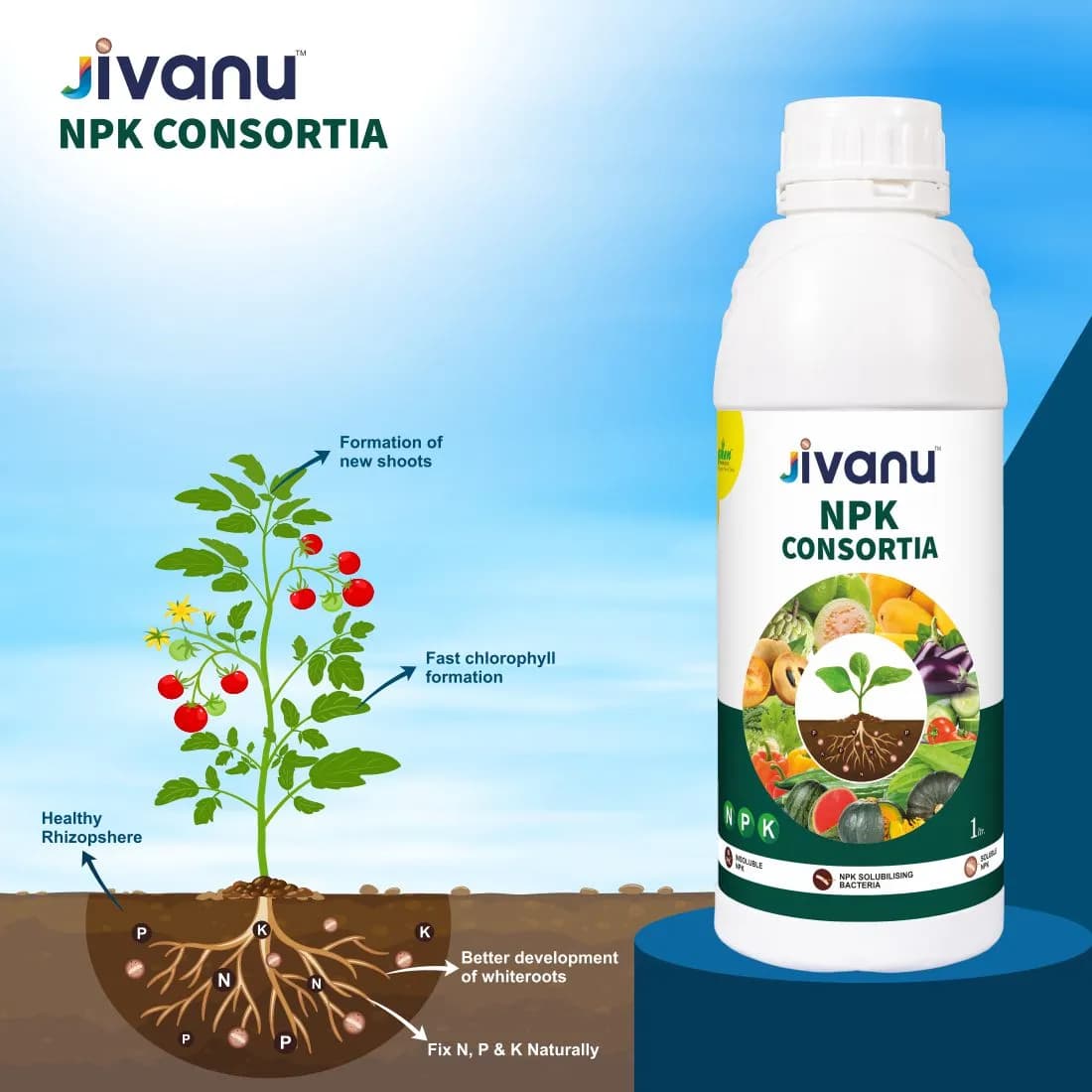 Green Revolution Jivanu NPK Consortia Bacteria Liquid Bio Fertilizer, Improves Soil Fertility And Plant Health. - Image 8