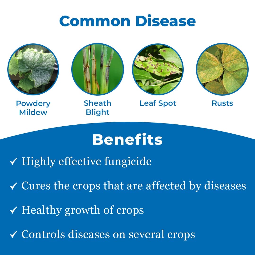 Hexanob - Hexaconazole 5% SC, Highly Effective Systemic Fungicide to Control Powdery Mildew - Image 3