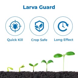 Suraksha Kit For Larva Control at Flowering Stage 45-80 Days (F-Zone 250 ML + Star One 250 ML + Flower Magic 250 ML +NB 80 250 ML) 3