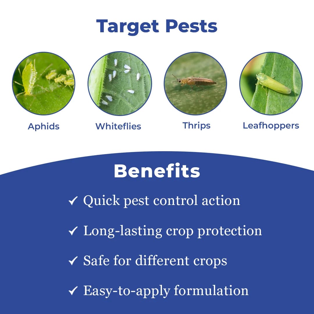 Adama Suckgan - Thiamethoxam 25% WG, Highly Effective And Systemic, Belongs to Neonicotinoid Group. - Image 3