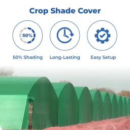 Radhe Green Shade Net 50% Shade, UV Treated Sunshade Cover, Meter (4.8 m x 9.7 m) Foot (16 FT x 32 FT), Easy To Install 3