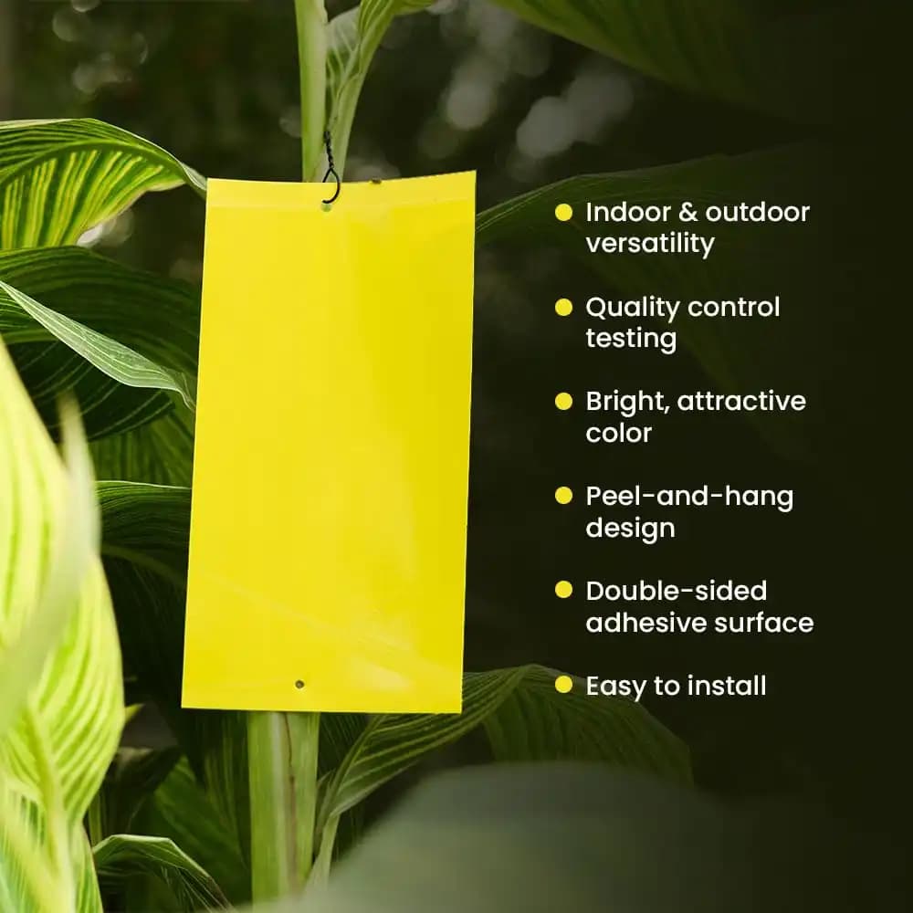 IFFCO Urban Garden Sticky Traps Pest Control, High-Quality Durable Waterproof & UV-Resistant (Yellow & Blue) - Image 5